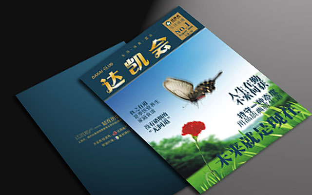 �￭����־һ�ڲ߻�(��